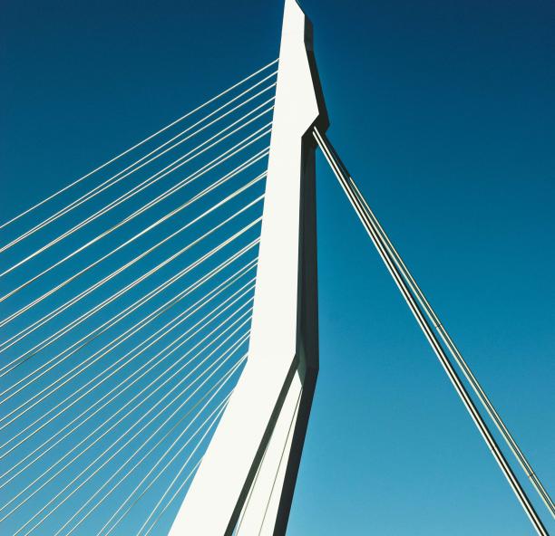 Bridge Alts Institute Survey